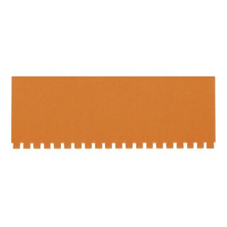 Bezeichnungsschilder für Einstecktafeln, aus Karton, 27mm hoch, 76mm breit, Orange