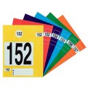 Schlüsselanhänger Set, 1-300 nummeriert,...