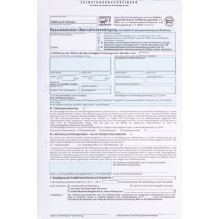 Formular "Reparaturkosten-Übernahmebestätigung" einschließlich Zahlungsanweisung und Abtretung, DIN A4, Weiß