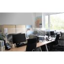 Hygieneschutzwand aus glasklarem Acrylglas einfach auf Bürotischen und Arbeitsplätzen zu platzieren, Format 1.000 x 660 mm, Verpackungseinheit: 1 STK