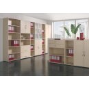 Büro-Flügeltürenschrank, BxTxH 800x420x752...
