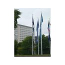 GFK Fahnenmast m. außenliegender Seilführung...