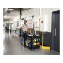 Mehrzweckwagen aus Polypropylen, 2 Ladeflächen LxB...