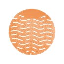 banio-WAVE Urinaleinlage Farbe: orange Duft: mango, VE 10...