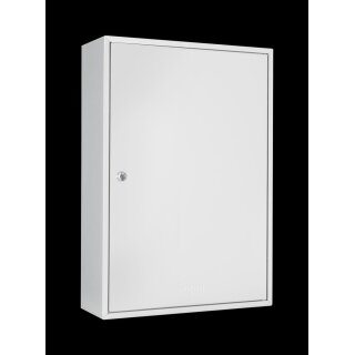 Schlüsselschrank  BxTxH 550x80x380 mm 1-türig Zylinderschl.Anz.Hak.100